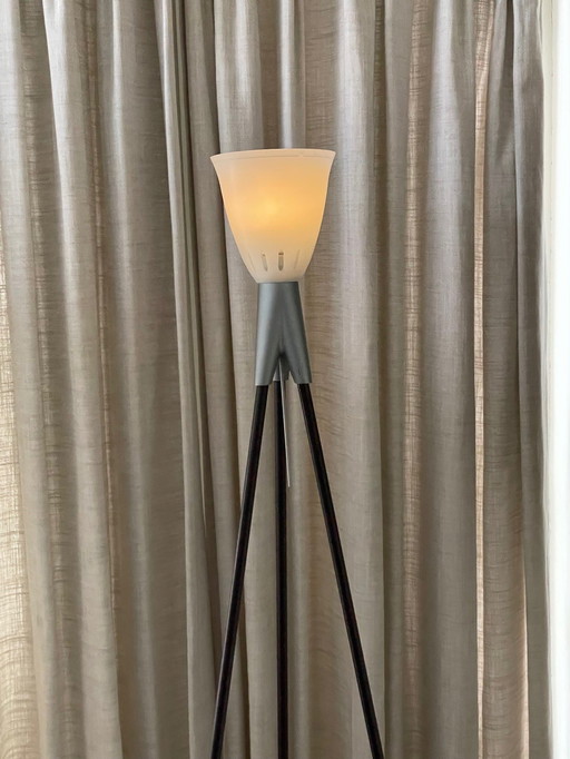 Flos Rosy Angelis Lampadaire - Design by Philippe Starck