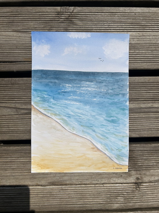 Aquarel zeevogels – Schilderijen & Tekeningen, Paper (photo 4 of 5)
