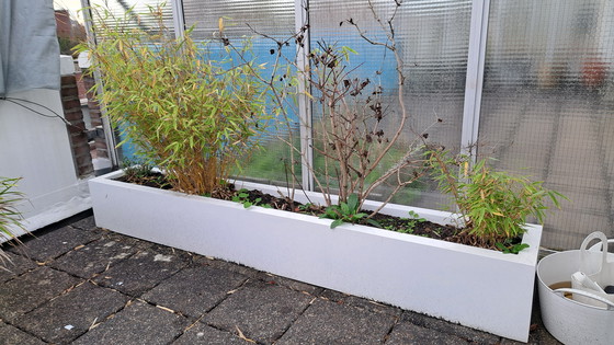 Image 1 of 2 fioriere Ibiza