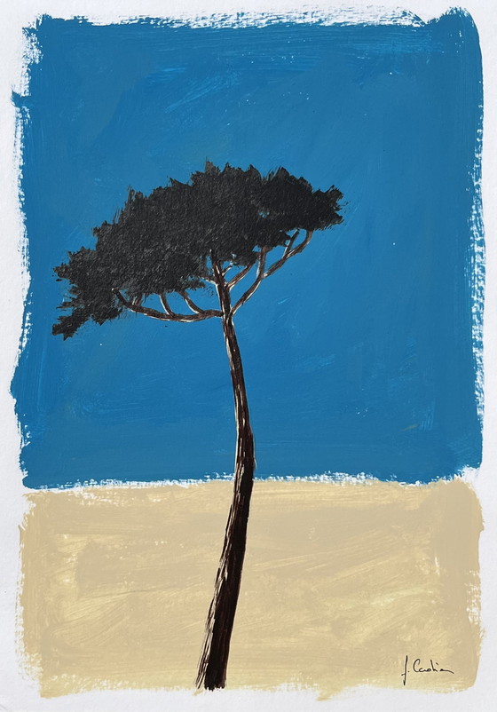 Image 1 of Acrylic and ink, umbrella pine, A4