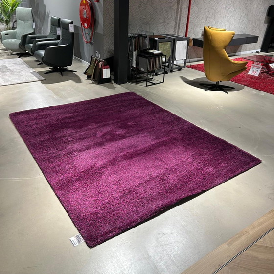 Image 1 of Millenerpoort Bella Basso 25 vloerkleed - 200x250