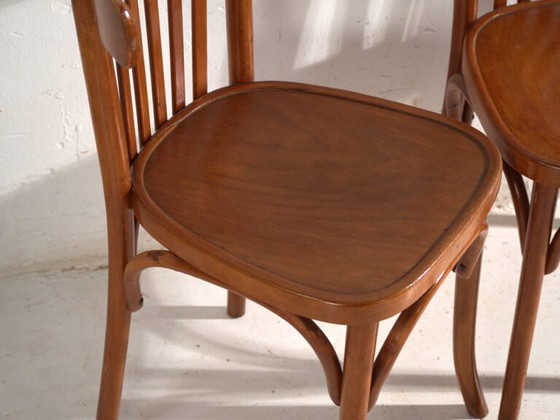Set of 4 Antique chairs in Thonet style bentwood – Central Europe, circa 1930 #2 – Dining chairs (photo 38 of 40)