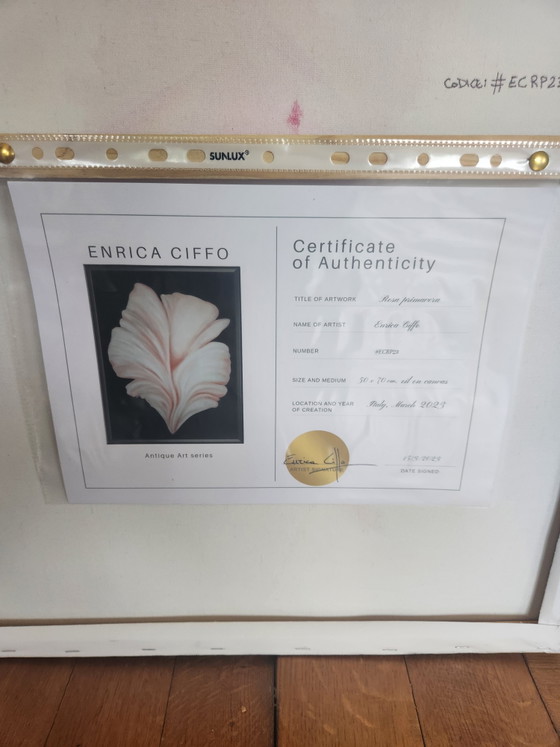 Image 1 of Dipinto ad olio originale "Rosa Primaverile" – Enrica Ciffo (2023) + Certificato