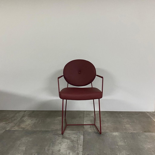 Ensemble de 6 Daisy Plus