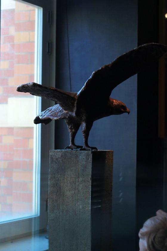 Image 1 of Buizerd - Arvid Henkes