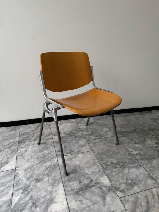 Set aus 5 Vintage-Stühlen des Modells Castelli Giancarlo Piretti DSC 106 mit Holzsitzen, 1960er/70er Jahre