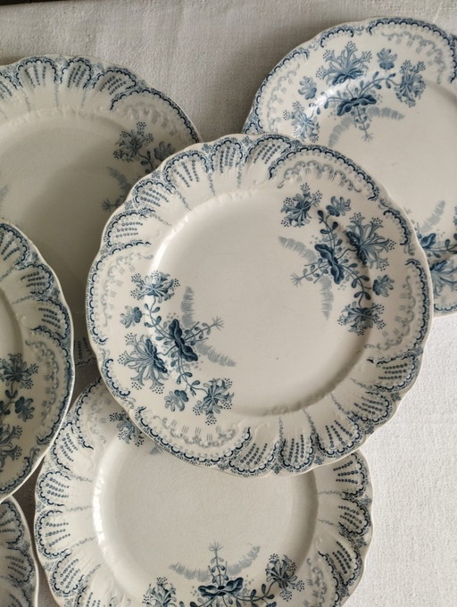 "Regency": 6 platos de postre de piedra de hierro de St-Amand & Hamage