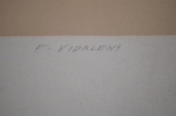 Litografía original de Frédéric Vidalens de los años 80, numerada 6/80, 1er estado y firmada por el artista (photo 2 of 9)