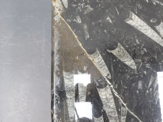 Image 1 of Fossil Marble Coffee Table