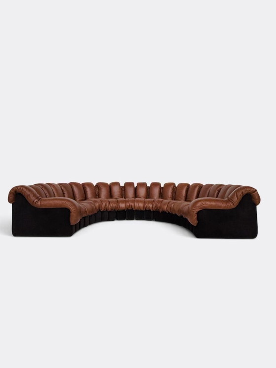 De Sede Ds600 Snake en cuir Cognac, 20 éléments, Canapés modulables, Textile, Marron (photo 10 sur 15)