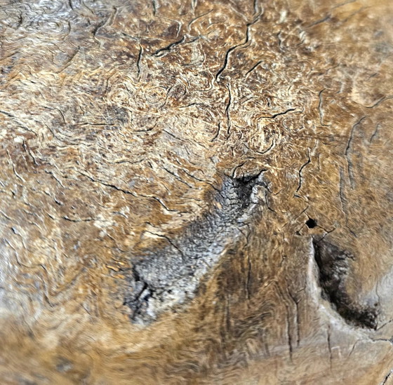 Una notevole ciotola in legno intagliata a mano da una singola sezione di radica – Ciotole, Wood (photo 15 of 19)