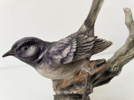 Image 1 of Capodimonte – Passerotto di Marfò