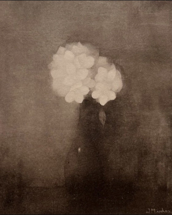 Image 1 of Jan Mankes 1889-1920 / Originele Heliogravure Vaas met Jasmijn 1923
