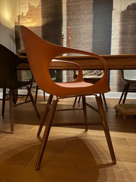 Image 1 of 6x Kristalia olifantenstoelen