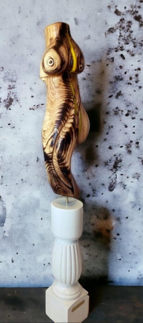 Image 1 of Erwin de Visser Scultura in legno di un torso femminile