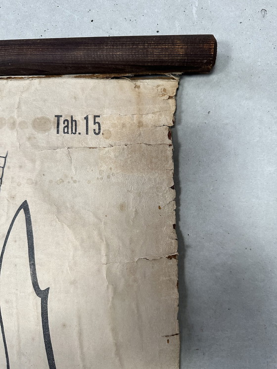 Image 1 of Carte scolaire vintage en lin XL - le homard