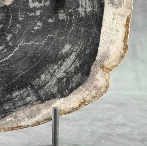 Image 1 of Bois fossilisé – Plaque en bois pétrifié avec un support sur mesure.