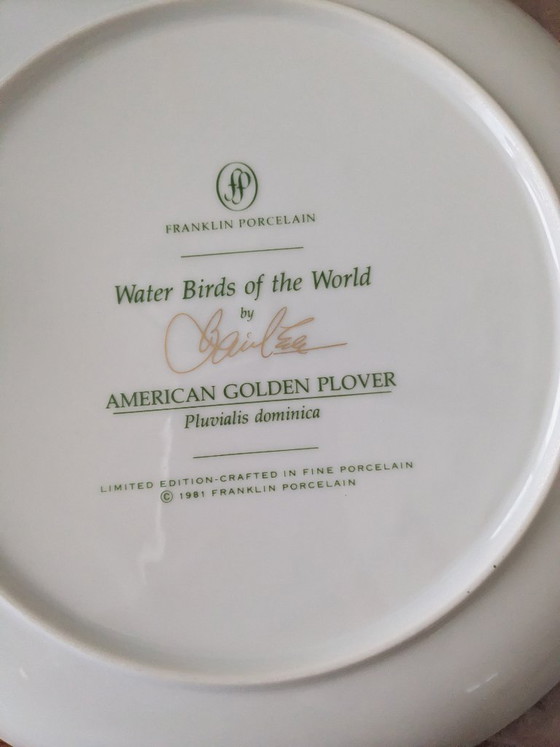 Image 1 of Basil Ede Oiseaux d'eau du monde, ensemble de 12 pièces avec système de suspension