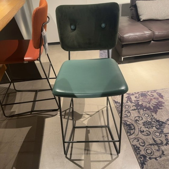 Image 1 of Bert Plantagie Kiko barkuk (set van 4)