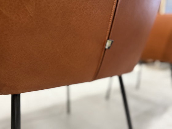 Image 1 of 4 Sillas de comedor Moka de diseño en stock Cera Cognac