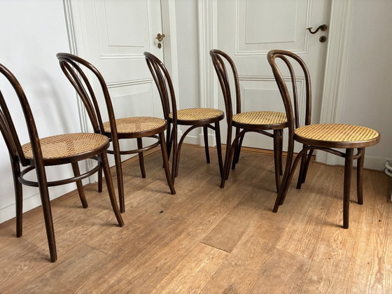 Image 1 of Set di 5 sedie Thonet n. 18 di ZPM Radomsko