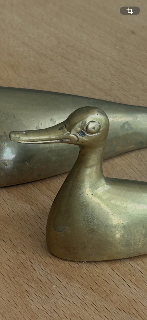Coppia di anatre vintage in ottone – decorazione anni '60/'70 – Oggetti decorativi, Brass (photo 6 of 6)