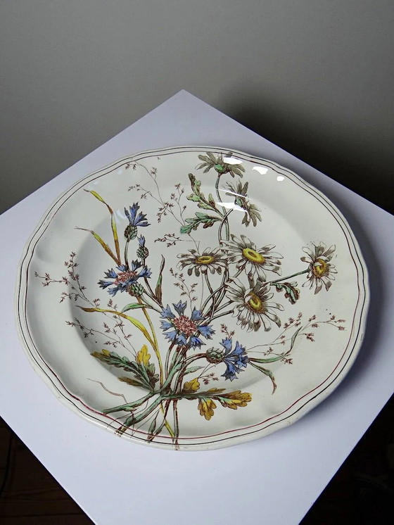Antike Longchamp Flachschale mit polychromen Gänseblümchen aus Eisenstein. – Geschirr, Porzellan, Art Nouveau (photo 8 of 13)