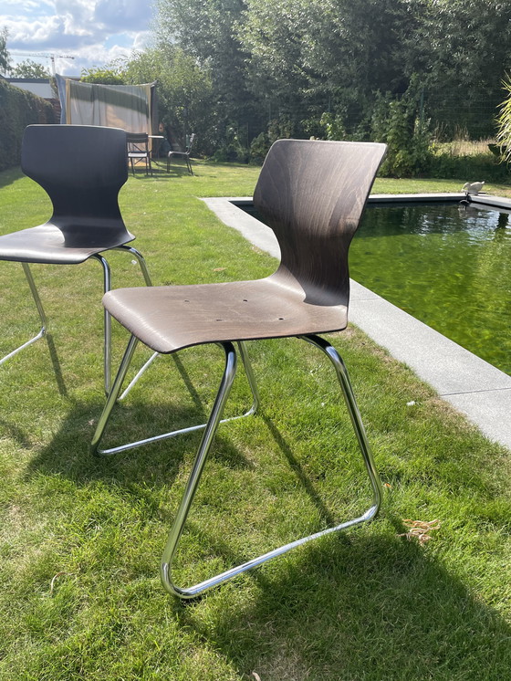 Image 1 of Sedia impilabile Pagholz flötotto vintage 6 pezzi