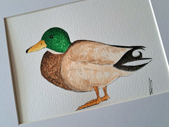 Peinture aquarelle canard, cane | Originale avec cadre, Peintures et dessins, Papier, Marron (photo 2 sur 6)