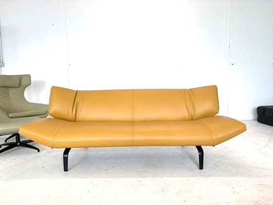 Leolux Tango Divano in Pelle Design Classico – Divani, Metallo (photo 2 of 17)
