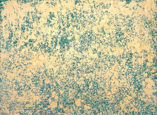 Jürgen Angeler - Golden Snowfall