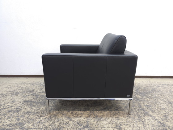 Image 1 of De Sede ds 4 poltrona in pelle Sedia poltrona di design desede