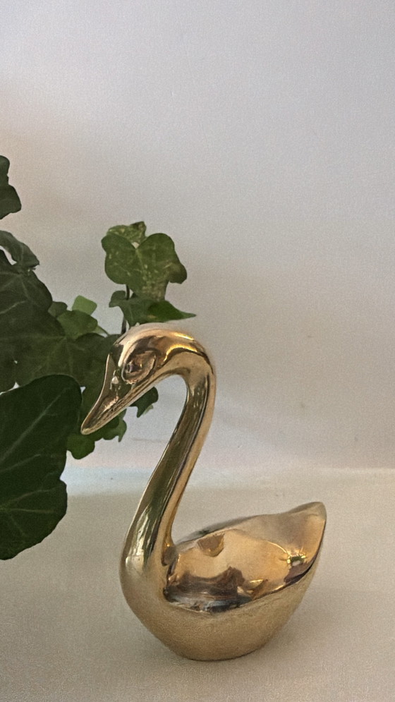 Image 1 of Cigno di ottone
