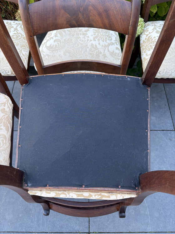 6 Vintage Antieke Mahonie Teak Stoelen – Eetkamerstoelen, Textile, Wood (photo 9 of 9)