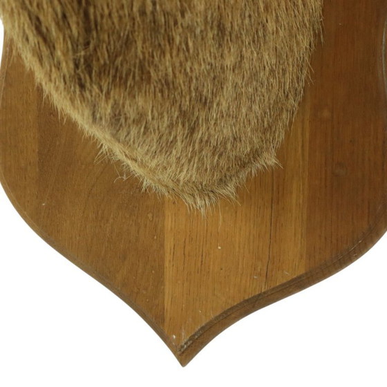 Image 1 of Tête de cerf montée cerf rouge avec bois