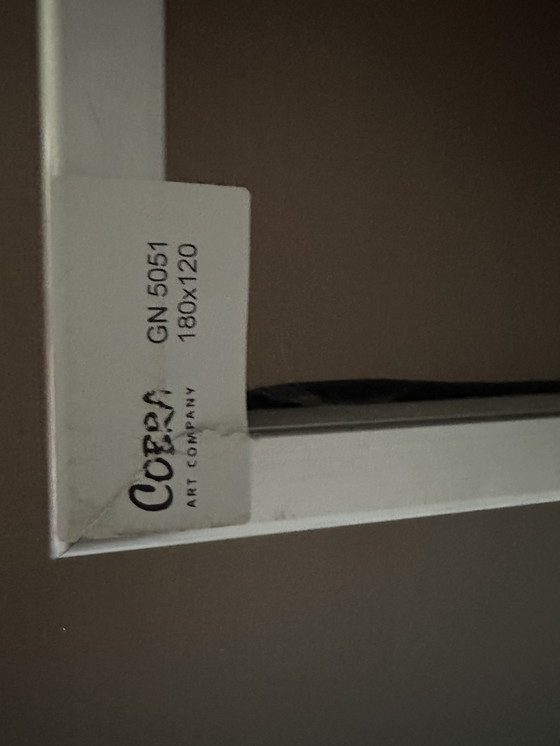 Image 1 of Cobra Art Plexiglas kunst