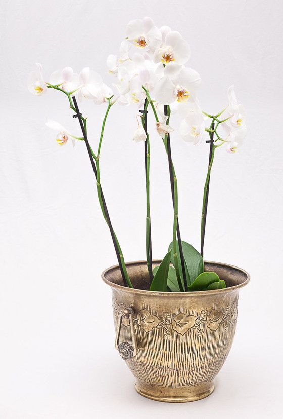 Image 1 of Art Nouveau planter