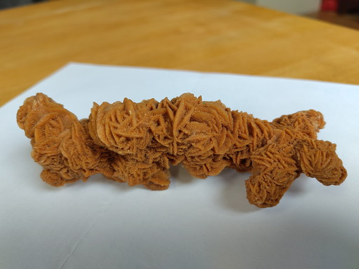 Rosa di sabbia rosa del deserto rosa di gesso lunga 15 cm