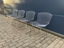 4x original Knoll Bertoia Side chairs chrome in top condition!