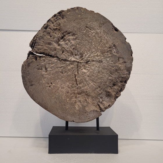 Image 1 of Beeldhouwwerk / Houtsnijwerk "Boeddha", 20e eeuw - Azië