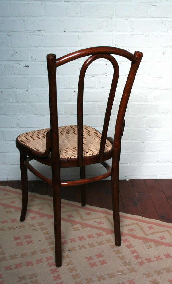Image 1 of Alter restaurierter Thonet Typ N°56