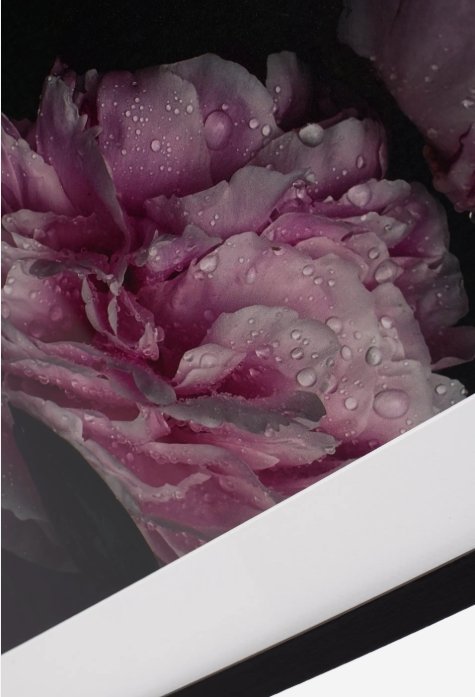 Image 1 of Boconcept - Fauna 1 Art Gallery