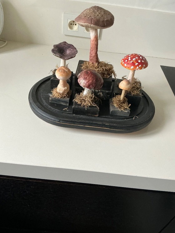 Image 1 of Antique bell jar with vintage educational mushrooms