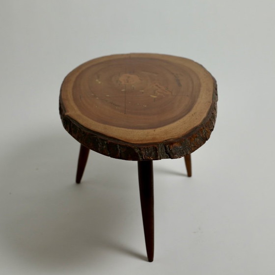 Tavolino Mid-Century Live-Edge in Monkey Pod con mappa delle Isole Fiji, c. anni '60 – Tavolini, Wood (photo 10 of 17)