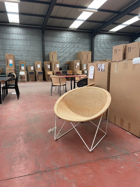 C317 Fauteuil – feelgood designs, Rattan (photo 5 of 6)