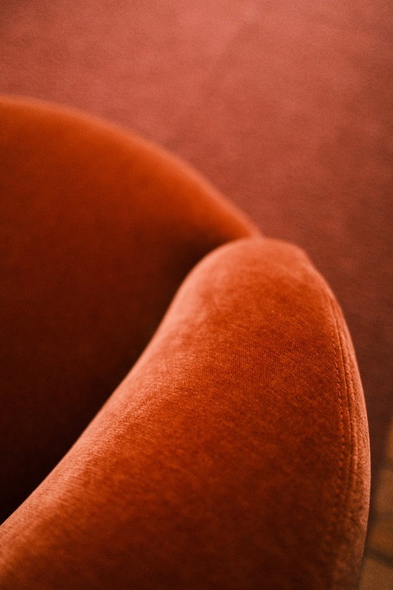 Rose Armchair - Sofa Company - Moss Rust - 2.5-Seater – sofacompany, 2 seaters, Polyester (photo 8 of 10)