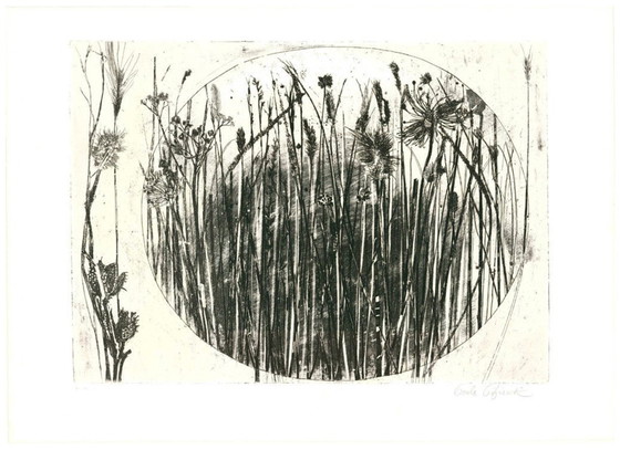 Image 1 of Paola Pitzianti - Grasses And Flowers 