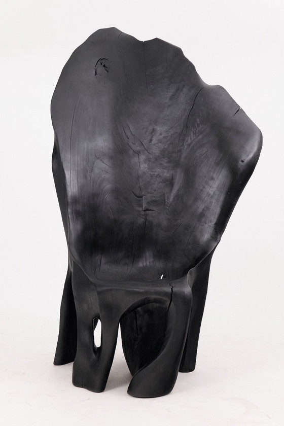 Image 1 of Fauteuil trône en bois noir carbonisé aux formes organiques par Logniture