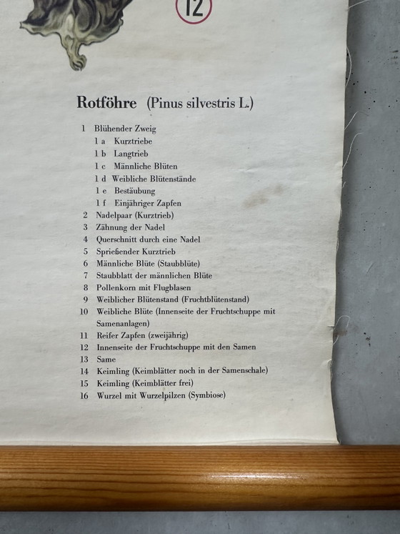 Image 1 of Antique linen school map + models Brendel