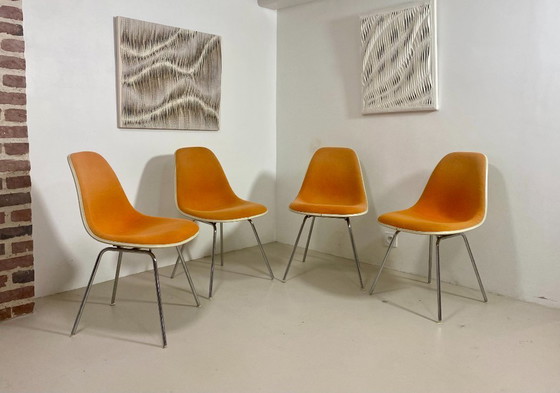 Image 1 of Juego de 4 sillas DSW Eames – Herman Miller (1952)